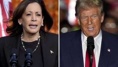 Face à des sondages très serrés, Harris attaque Trump le « fasciste »